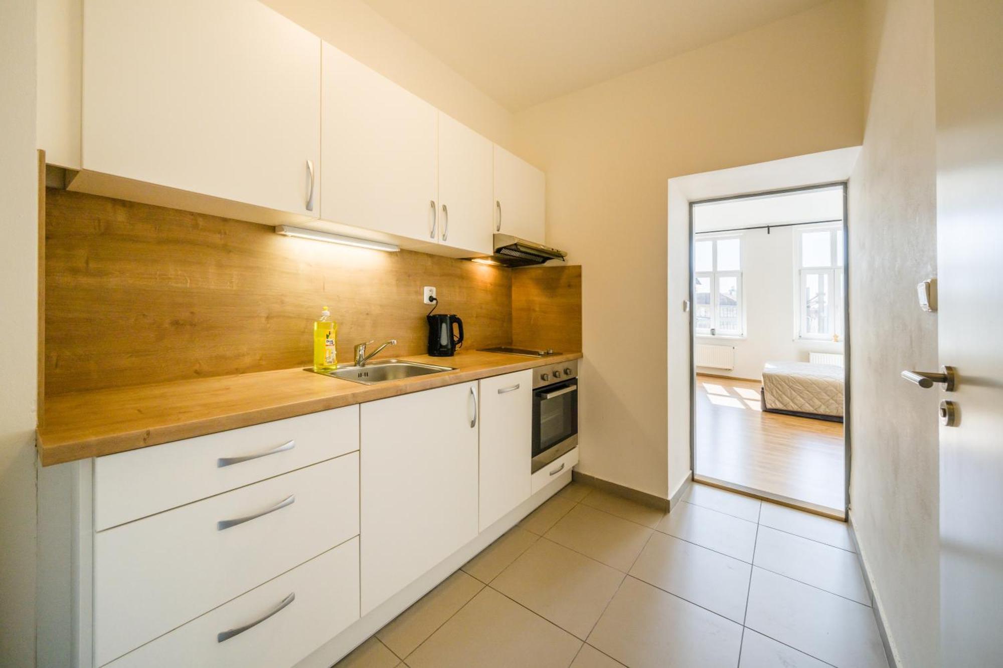 Apartia Vlhka 26, Brno-Center Dış mekan fotoğraf